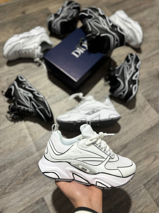 DIOR B22 White and Black