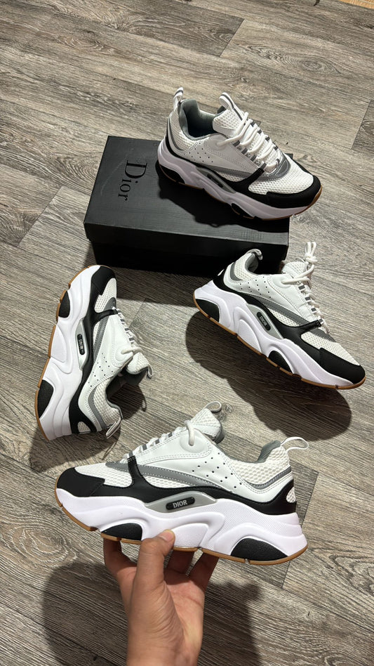DIOR B22